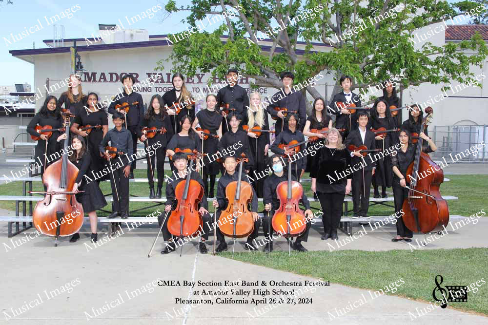 Musical Images